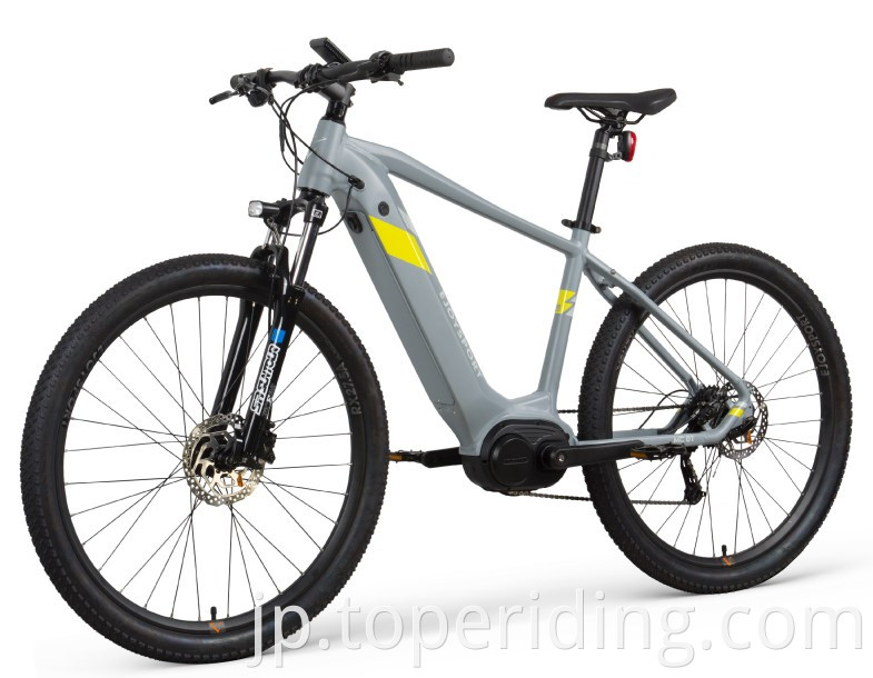 Ebike Mountain Bikes